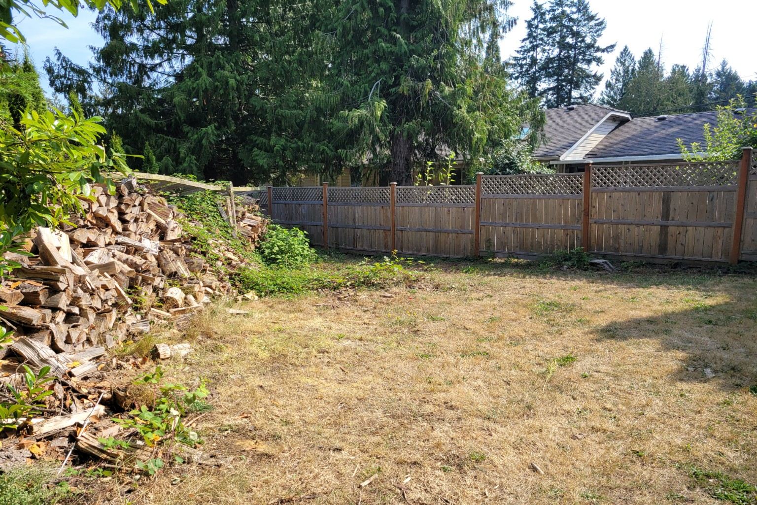 The same Nanaimo backyard cleared to open lawn after the Junk Matters estate cleanout