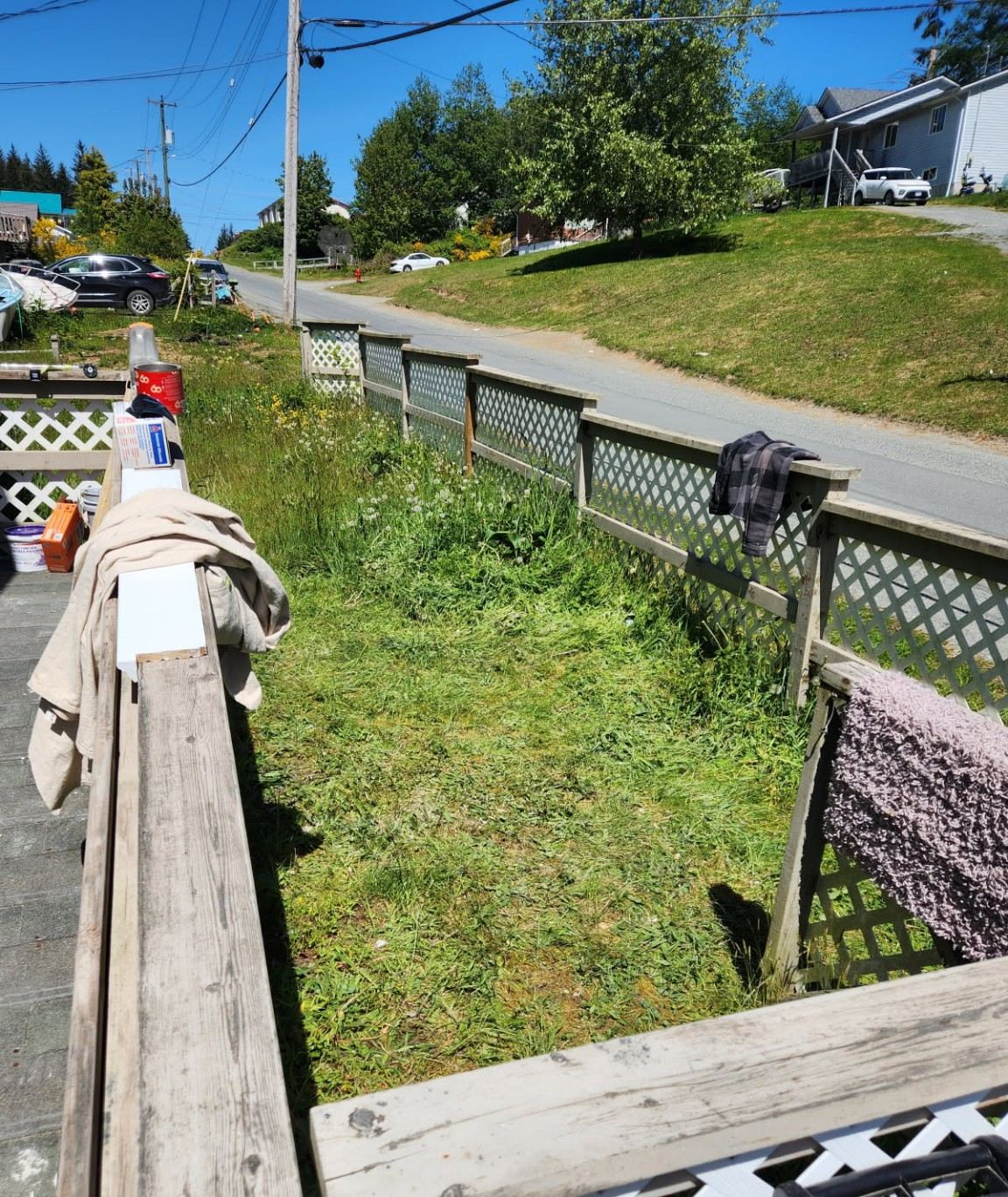 The same Parksville lawn cleared and freshly mowed after Junk Matters hauled the debris away
